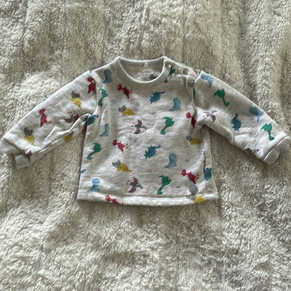 Baby Boy Sweatshirt